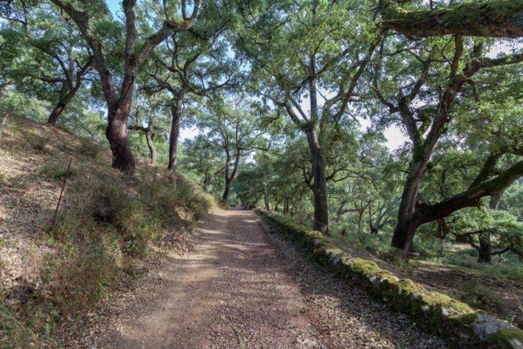 Finca Montemateo Navahermosa  Екстериор снимка